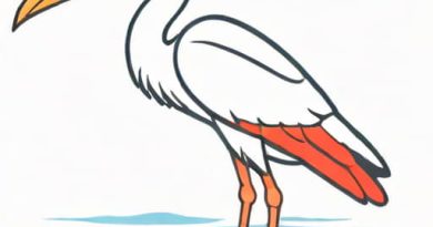 How To Clean A Spoonbill