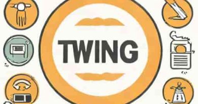 How To Pronounce Twinge