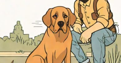 Jim Beaver Turner And Hooch