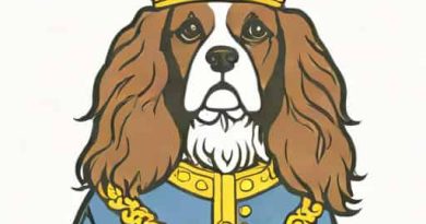 King Charles Monarchy