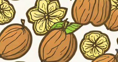 King Uncle Californian Walnuts