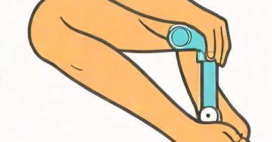 Knee Extension Innervation