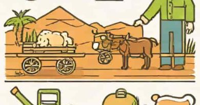 La Campesina Willard Menu