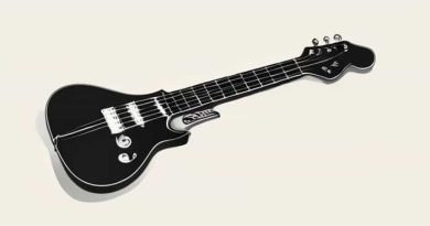 Les Paul Whammy Bar