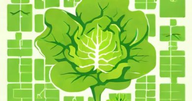Lettuce Variety Crossword Clue