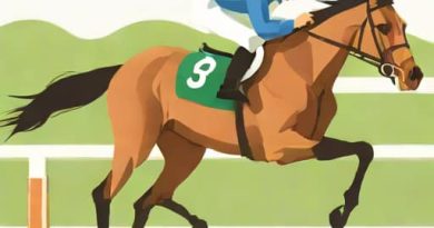 Longchamp Favourite Hurdling As Racehorse