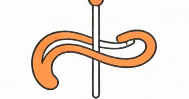 Longest Part Of Fallopian Tube