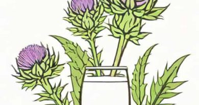 Nac With Milk Thistle