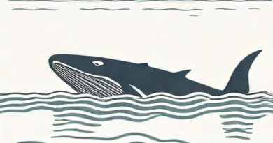 New Hampshire Whale Capsizes Boat