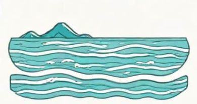 Ocean Water Solute And Solvent