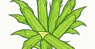 Okra Mucilage As Paper Binder