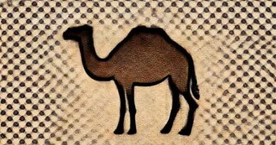 One Hump Camel Called