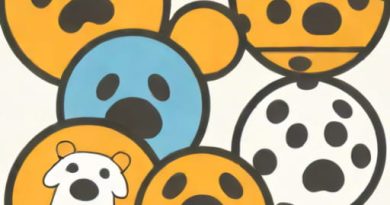 Outward Hound Squeaker Balls Large