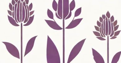 Purple Three Awn Seeds