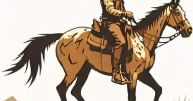Rdr2 Few Spotted Appaloosa