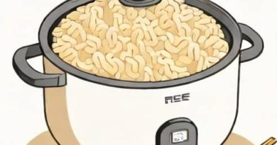 Rice Cooker Glutinous Rice