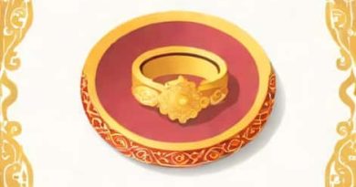 Ring Ceremony In Hindi