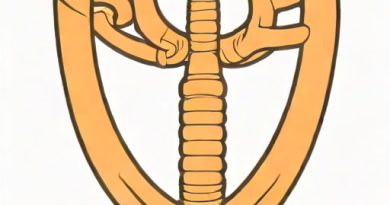 The Trachea Is Incised With A
