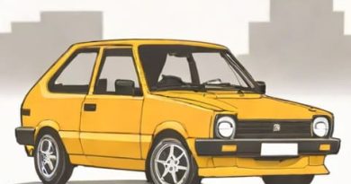 Toyota Starlet Xr 2024
