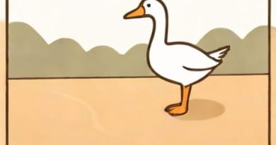 Untitled Goose Game Switch