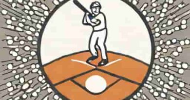 Verlander No Hitter