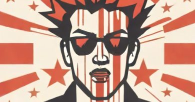 What Is American Idiot About