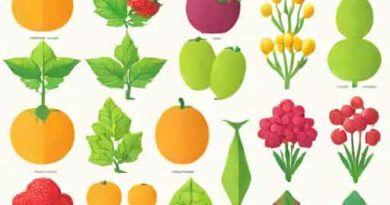 What Is Inter Varietal Hybridization