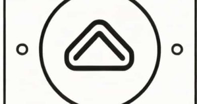 What Is Meant By Substratum