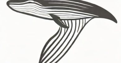 What Is Whale Baleen