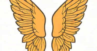 Wings And Feathers Belmopan